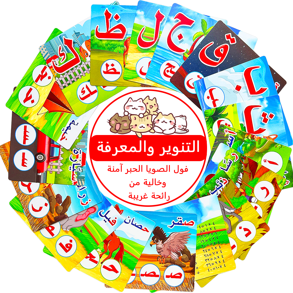 28Pcs Double Sided Arabic Alph - Educational Flash Card ulasan dan harga